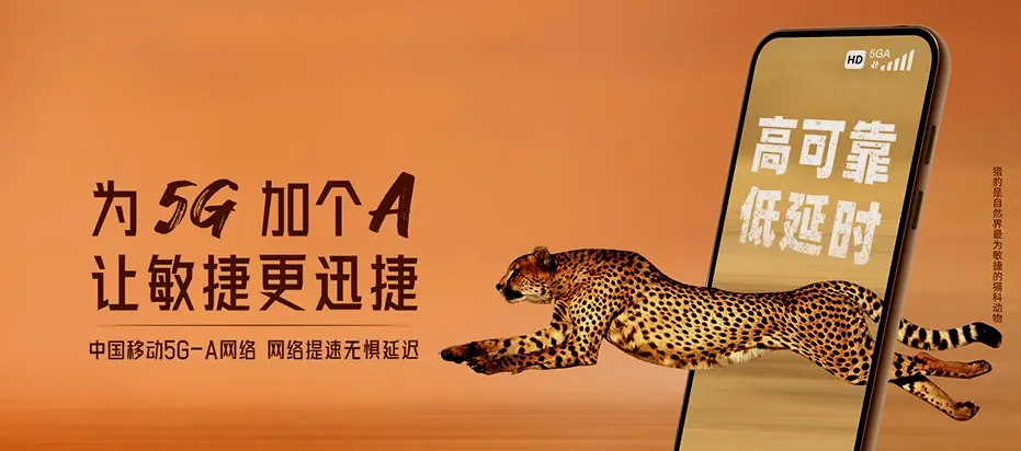 金溪县金溪县陈坊积乡 移动宽带